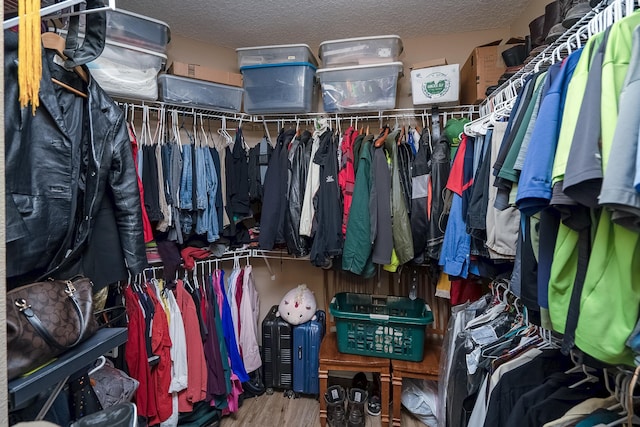 spacious closet with wood-type flooring