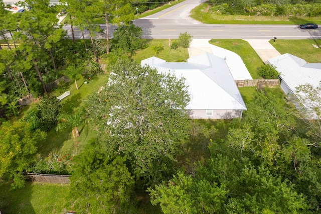 bird's eye view