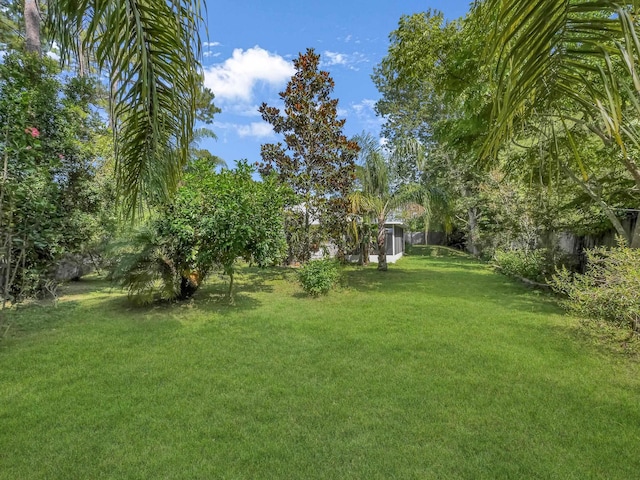 view of grassy yard