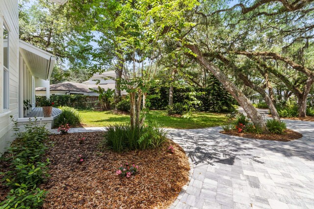 136 Island Hammock Way, Saint Augustine, FL 32080 - view of yard with curved driveway