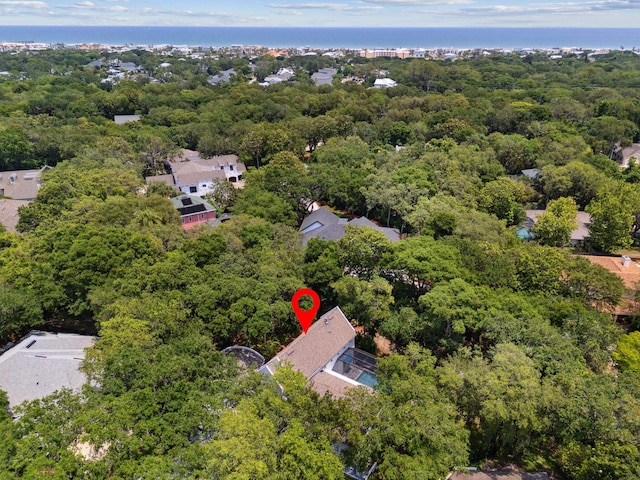 136 Island Hammock Way, Saint Augustine, FL 32080 - bird's eye view of a forest