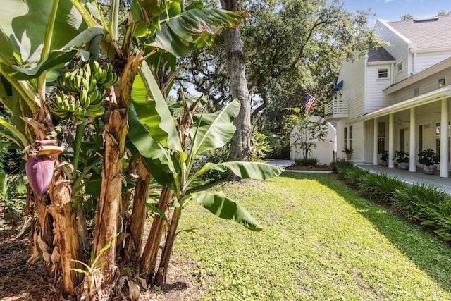136 Island Hammock Way, Saint Augustine, FL 32080 - view of green lawn