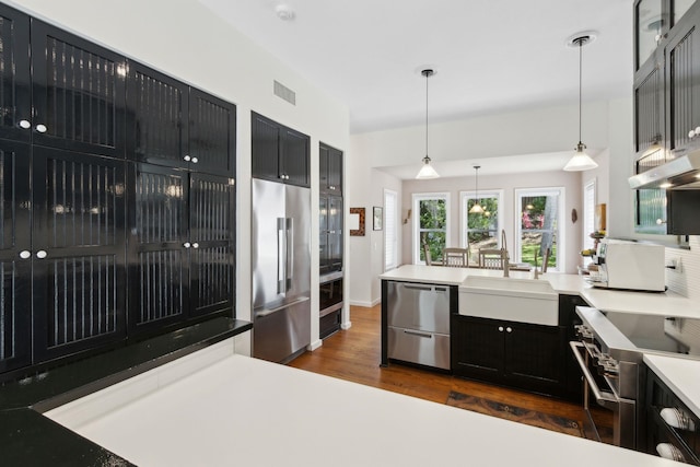 136 Island Hammock Way, Saint Augustine, FL 32080 - kitchen featuring premium appliances, dark cabinets, a sink, and dark wood-style floors