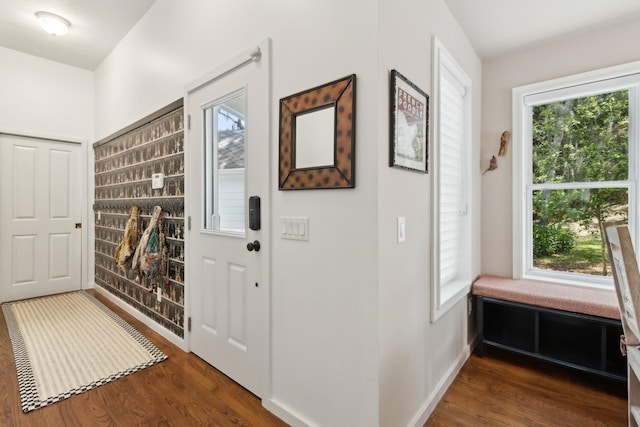 136 Island Hammock Way, Saint Augustine, FL 32080 - foyer entrance featuring wood finished floors, healthy amount of natural light, and baseboards