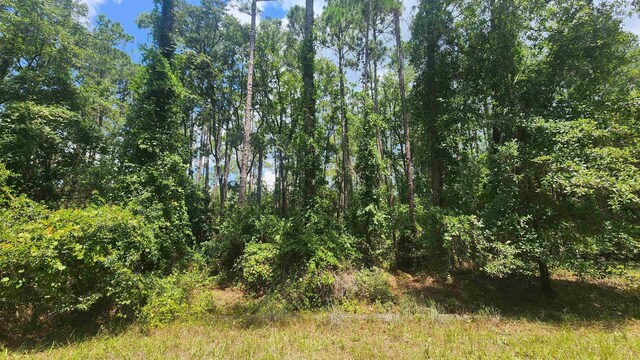 130 Helen Ave, Georgetown FL, 32139 land for sale