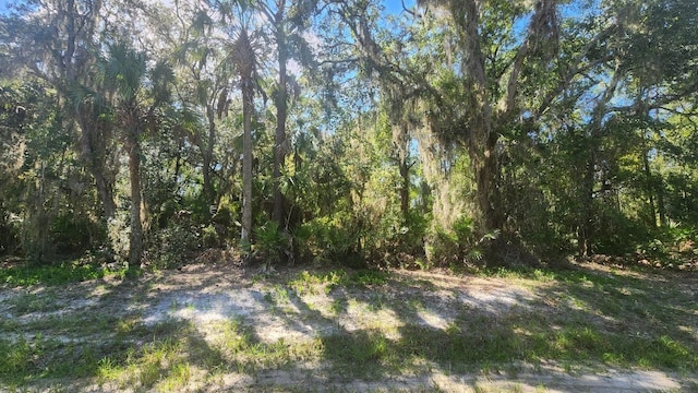 133 Lakeway Dr, Georgetown FL, 32139 land for sale