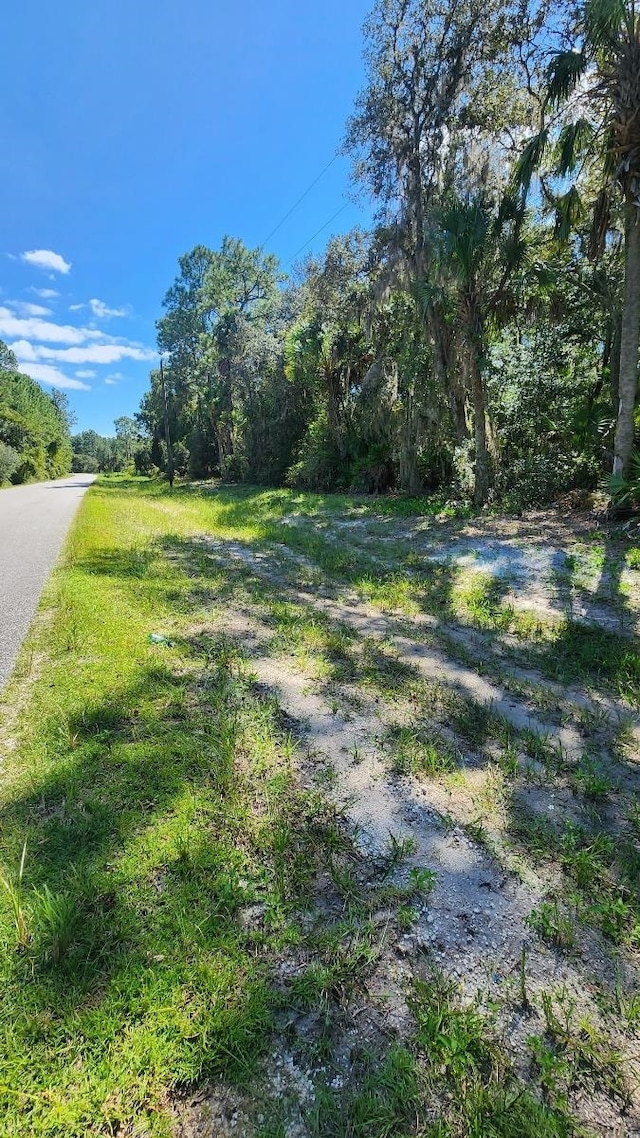 Listing photo 2 for 133 Lakeway Dr, Georgetown FL 32139