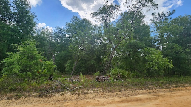 Marion St, Interlachen FL, 32148 land for sale