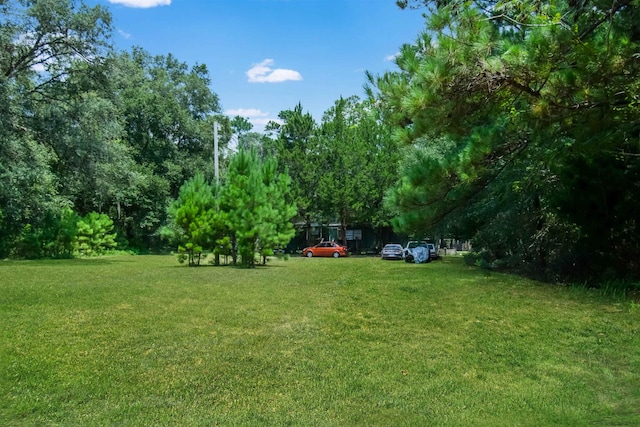 463493 State Road 200, Undetermined-Other, FL 32097 - photo 17