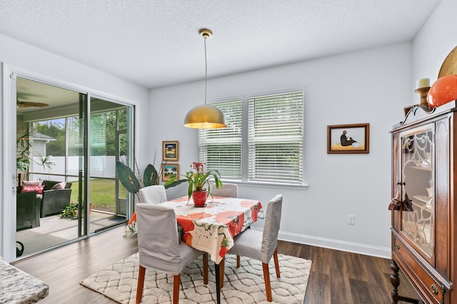 345 Downs Corner Rd, Saint Augustine, FL 32092 - photo 9