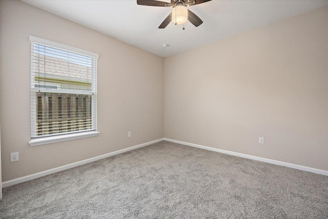 161 Fallen Timber Way, Saint Augustine, FL 32084 - photo 17