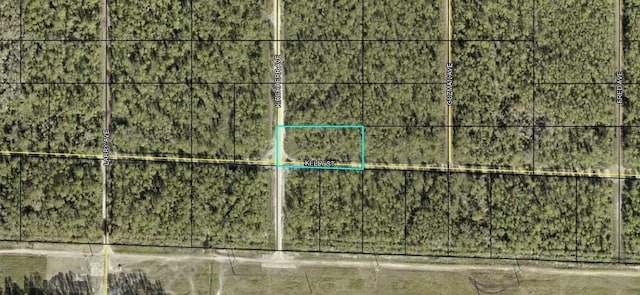 0000 Kirchherr Ave, Hastings FL, 32145 land for sale