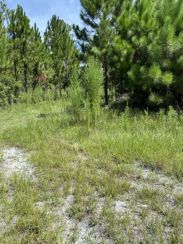 Listing photo 3 for 550 W River Rd, Palatka FL 32177