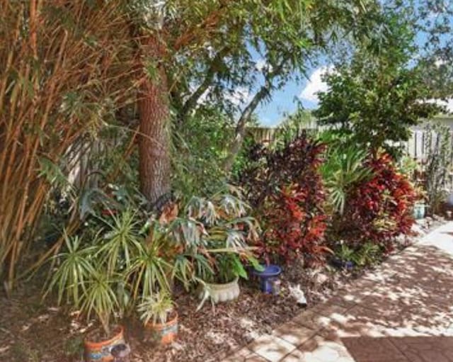 123 Whispering Oaks Cir, Saint Augustine, FL 32080 - view of yard with fence