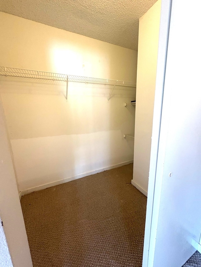 walk in closet with carpet flooring