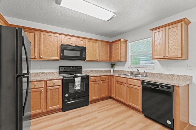 2368 Hibiscus Ave, Middleburg, FL 32068 - photo 6