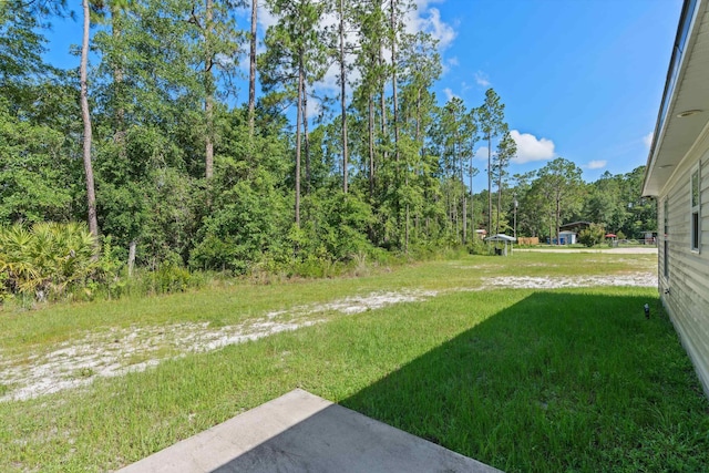 2368 Hibiscus Ave, Middleburg, FL 32068 - photo 29