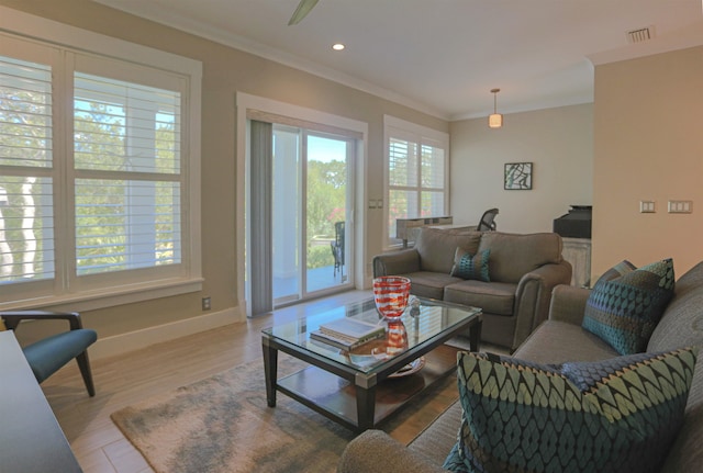 living room featuring wood-type flooring and crown molding
