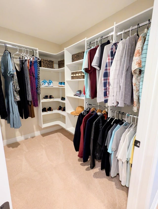 spacious closet with carpet floors