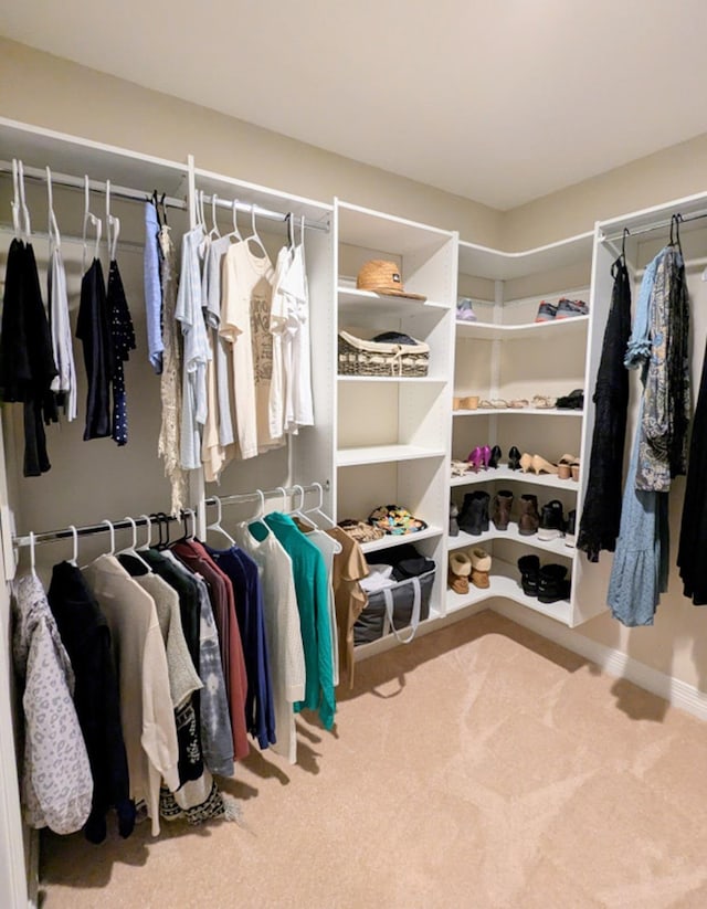 spacious closet with carpet