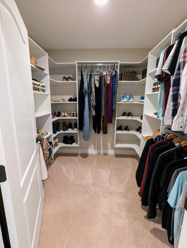 spacious closet with light colored carpet