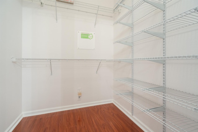 walk in closet featuring wood finished floors