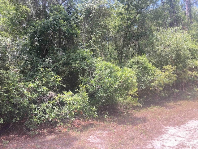 430 Palm Way, Georgetown FL, 32139 land for sale