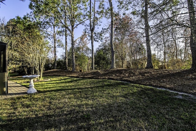 view of community playground