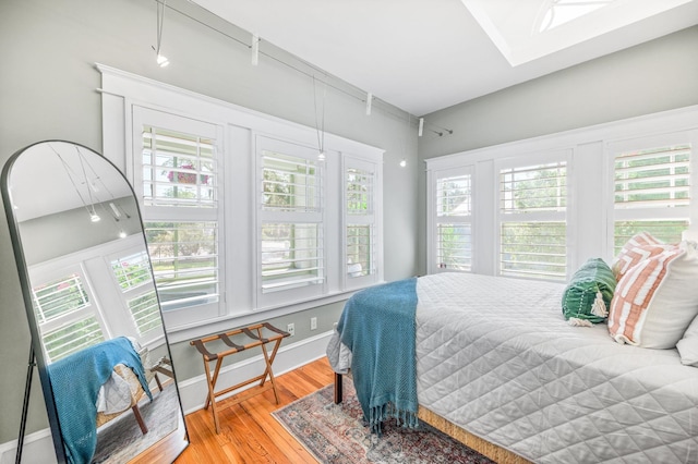 bedroom featuring multiple windows and wood-type flooring