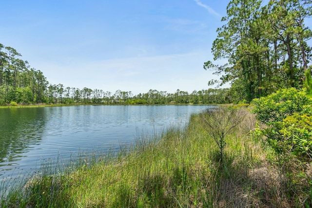 water view with a heavily wooded area