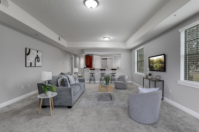 living room with a raised ceiling, light carpet, and a textured ceiling