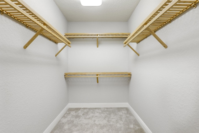 spacious closet with light colored carpet