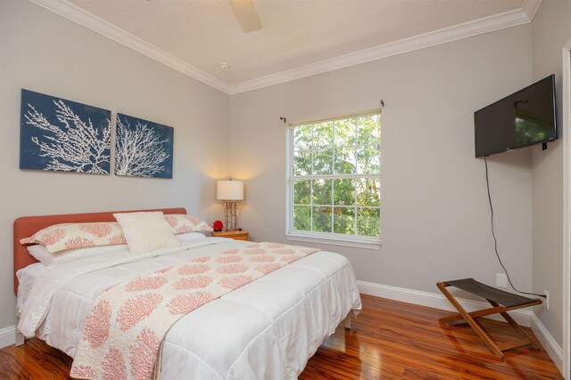2 Lisbon St, Saint Augustine, FL 32080 - bedroom featuring crown molding, a ceiling fan, a closet, and a textured ceiling