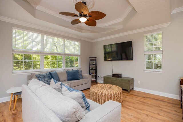2 Lisbon St, Saint Augustine, FL 32080 - living room featuring a raised ceiling, plenty of natural light, light wood-style flooring, and ornamental molding