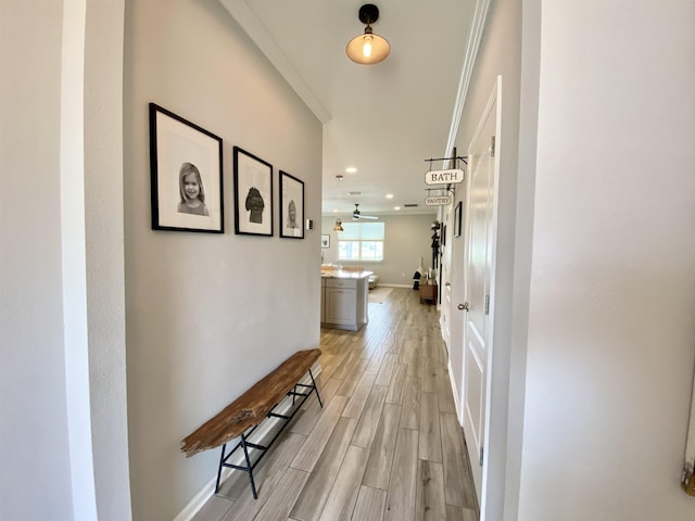 118 Sierras Loop, Saint Augustine, FL 32086 - hall featuring light wood-type flooring, recessed lighting, and crown molding