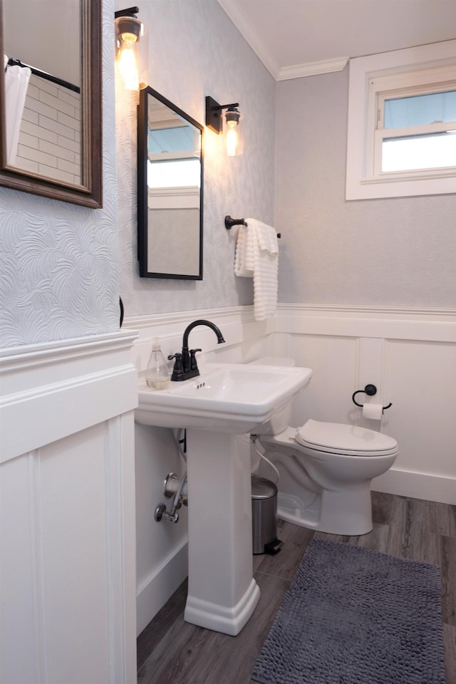 6 E Park Ave, Saint Augustine, FL 32084 - bathroom with crown molding, wainscoting, wood finished floors, and a decorative wall