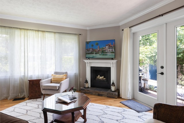 6 E Park Ave, Saint Augustine, FL 32084 - living room featuring wood finished floors, a fireplace with raised hearth, and ornamental molding