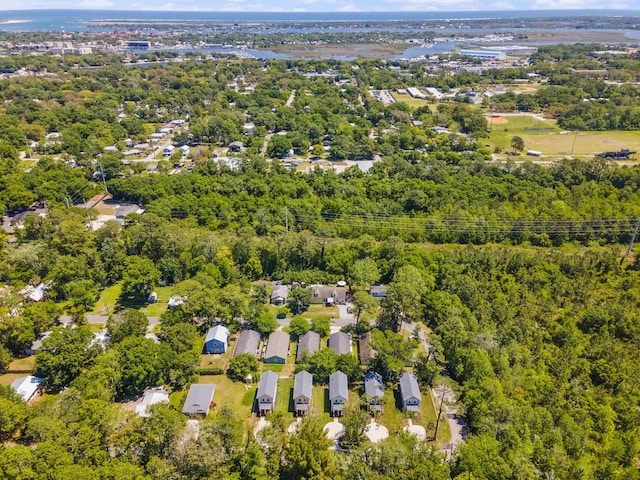 962 Alexander St, Saint Augustine, FL 32084 - aerial view of a forest
