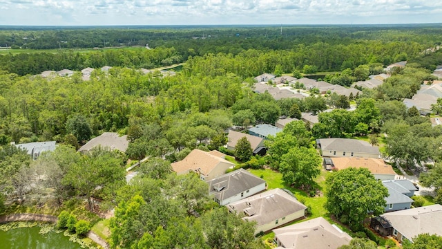 902 Heron Point Cir, Deland, FL 32724 - aerial view of residential area featuring a heavily wooded area