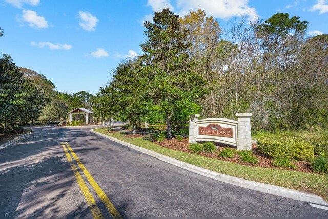 137 Cereus Ln, Saint Augustine, FL 32086 - view of asphalt road with curbs