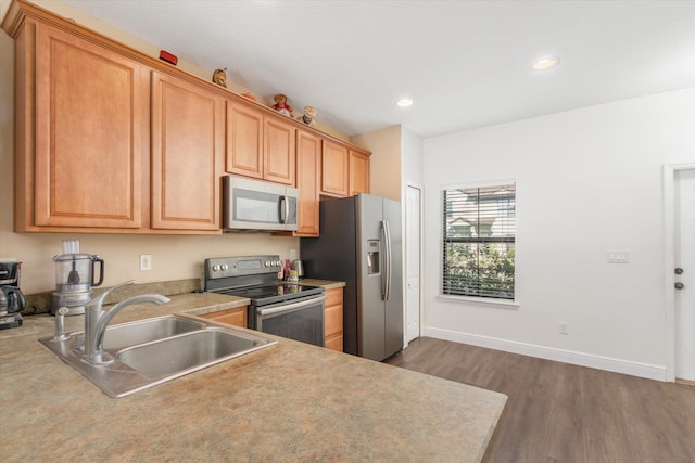 kitchen featuring dark hardwood / wood-style flooring, sink, and appliances with stainless steel finishes