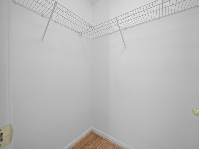 walk in closet with wood finished floors