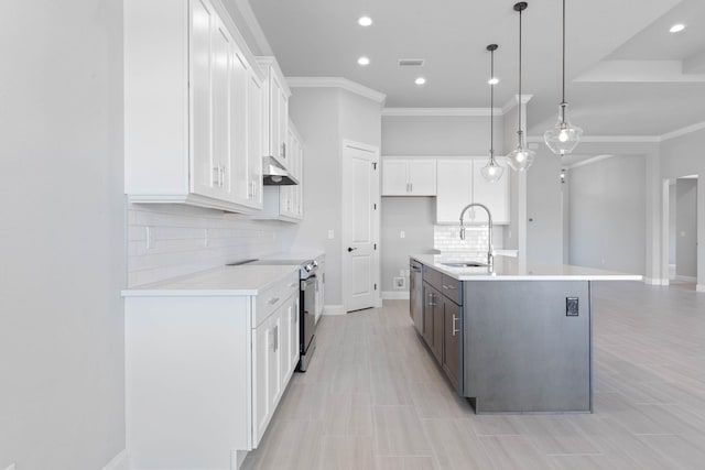 kitchen featuring a sink, under cabinet range hood, crown molding, and stainless steel appliances