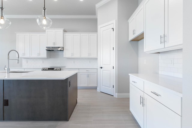 kitchen with under cabinet range hood, white cabinetry, a sink, and crown molding