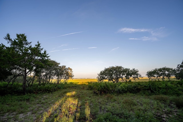 view of landscape with a rural view