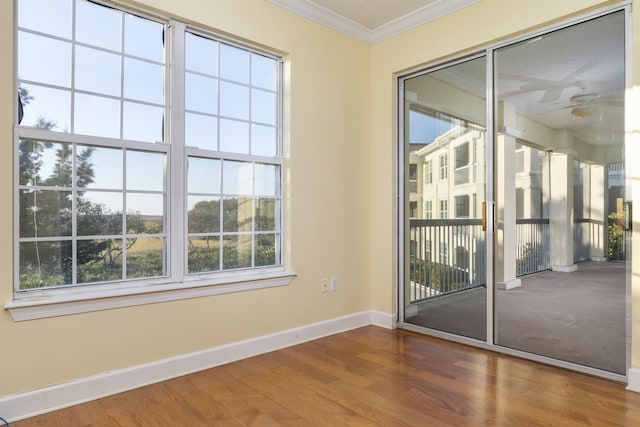 empty room featuring wood-type flooring and crown molding