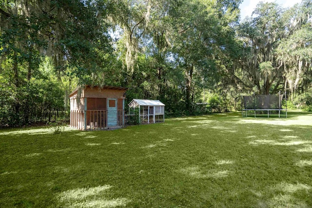 view of yard featuring a trampoline and an outdoor structure