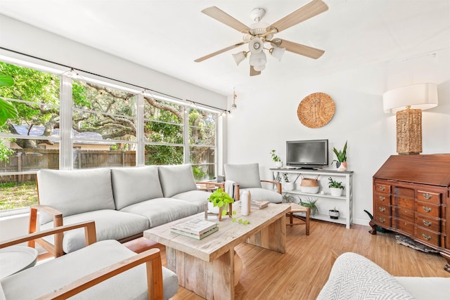 503 D St, Saint Augustine, FL 32080 - living area featuring ceiling fan and wood finished floors