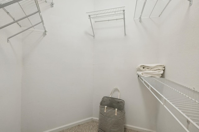 spacious closet with carpet floors