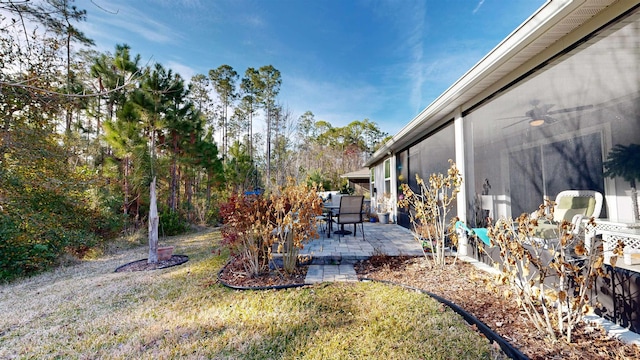 view of yard with a patio area and ceiling fan